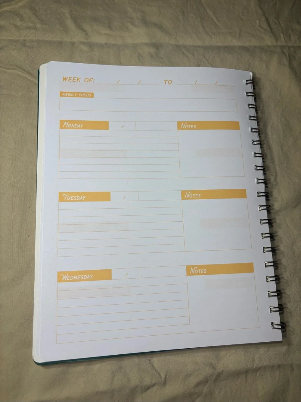 New Teal Weekly Planner with Citrus Illustration Undated Agenda